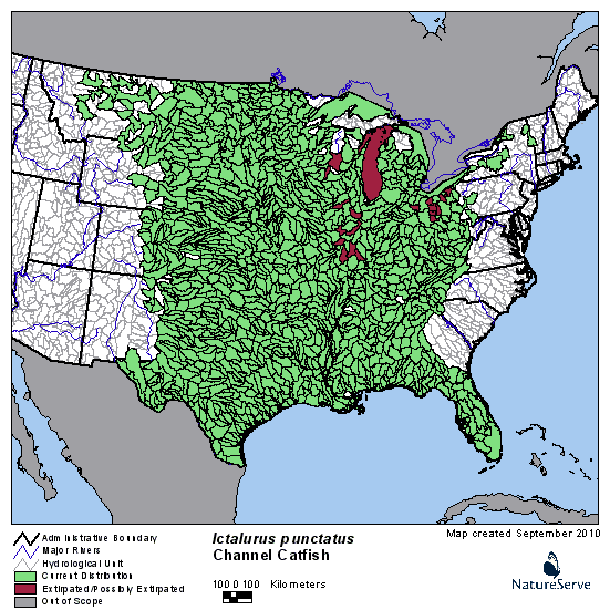Channel catfish range