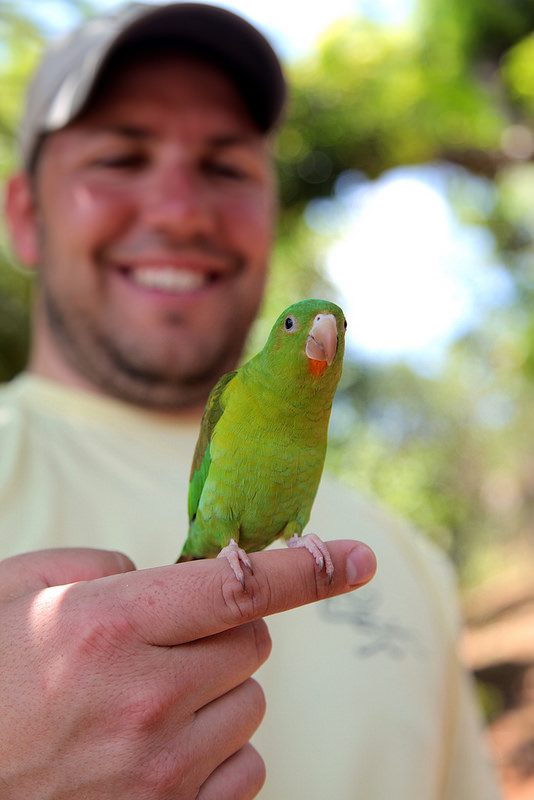 12625499323_70ded72662_c