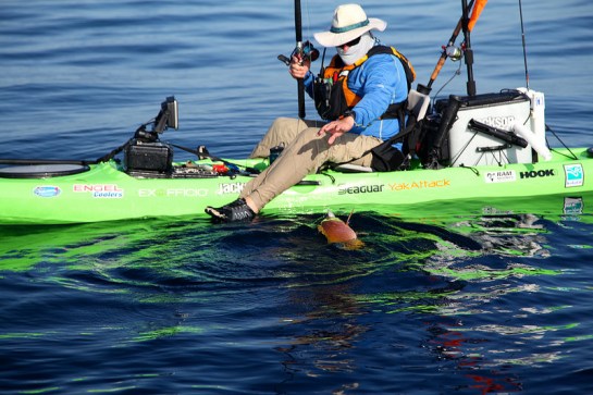 12625830223_565d056072_c