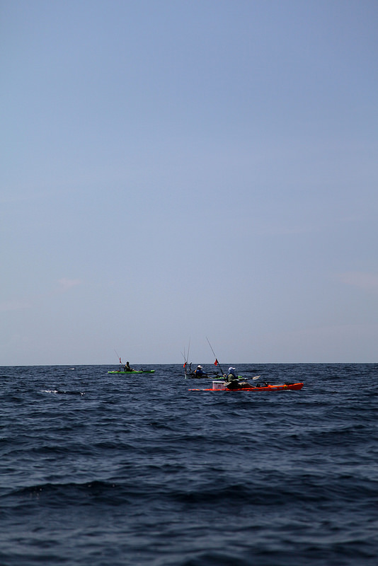 12625989724_8087453b58_c