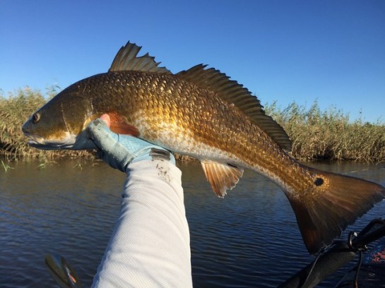 img_6789_zpsxrqift2o