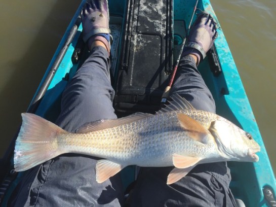 img_6799_zps10jgoesz