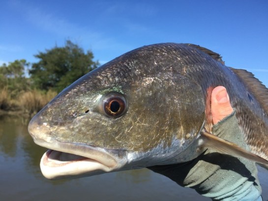 img_6807_zpsww1j4mem