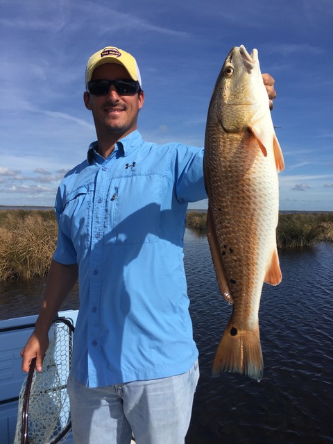 img_6896_zpszmvqecll