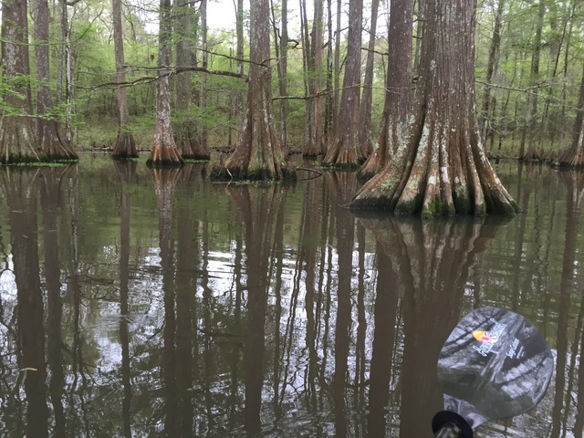 img_4662_zpspimacook