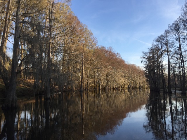 img_4686_zpsz3b5x5mv