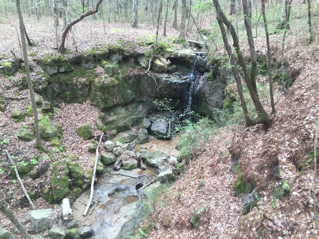 img_4706_zpsf1qfkhey