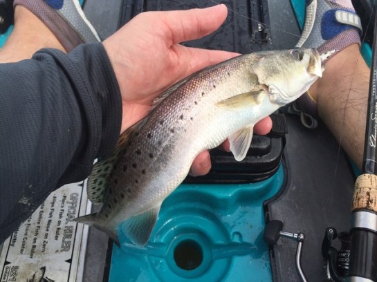 img_6714_zpsxcbznbsp