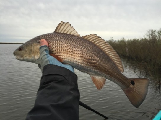 img_7181_zpsfnh1lhxh