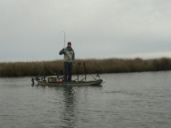 img_7187_zpst0kmpb4a