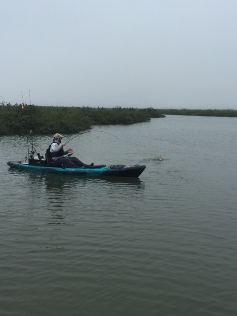 img_7238_zpsetjw5gtj