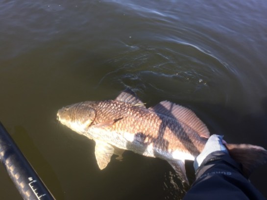 img_7333_zpsuyzrn3uy