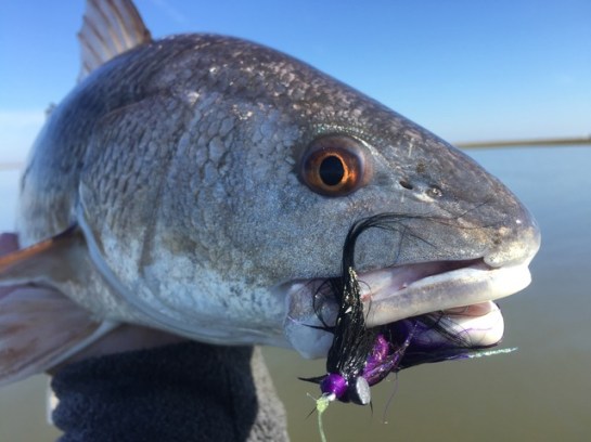 img_7399_zpsdkwhagkf