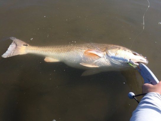 img_7402_zpsqbri3fxz