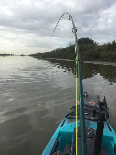 img_7535_zpsgdivparl