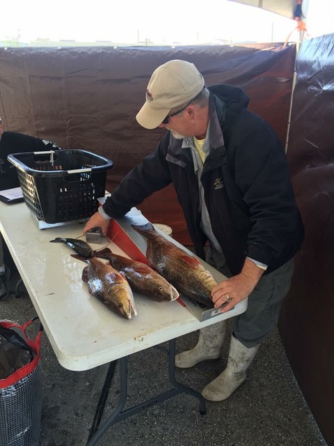 weigh_in_zpstvpylfvw