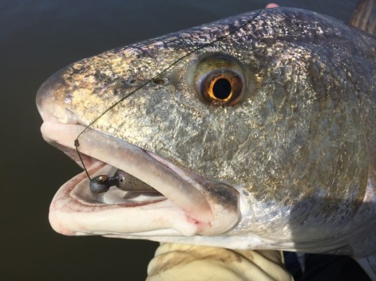 img_8193_zpsskizuqgs