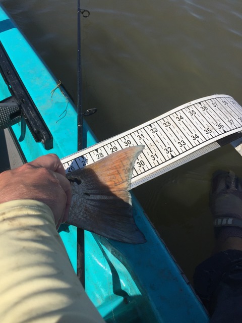 img_8194_zpsg5be09xs