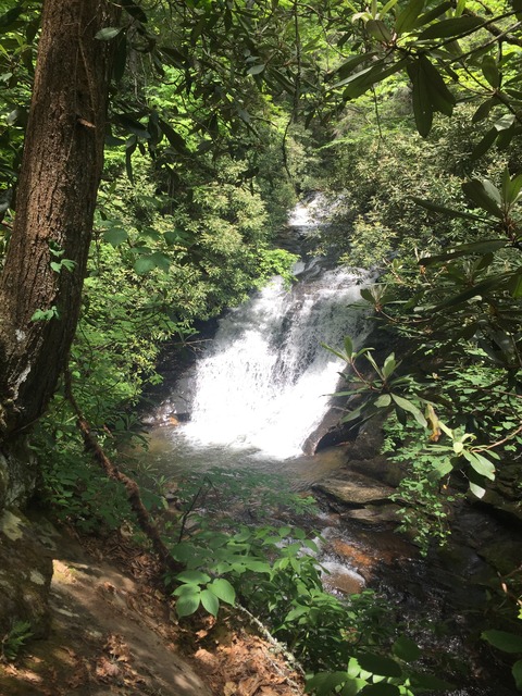 img_8277_zpskeumulhn