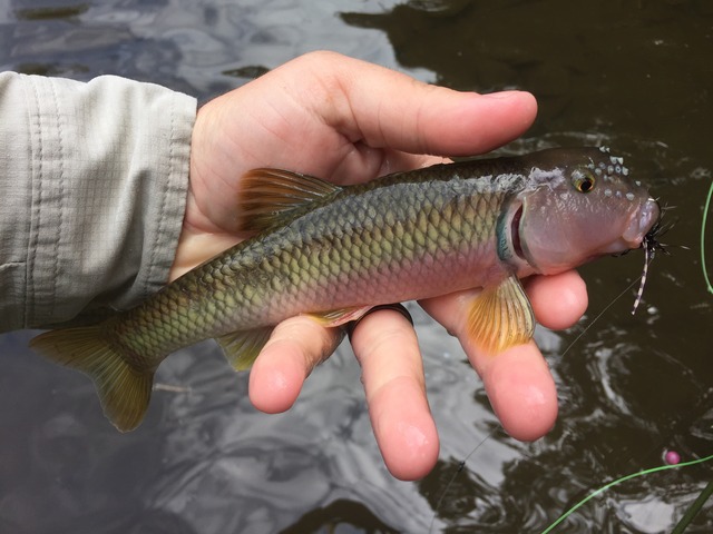 img_8308_zpshipmv01u