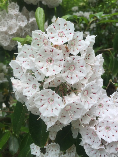 img_8311_zps4xrcd679