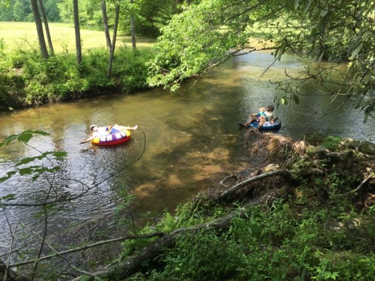 img_8317_zps2ba26r0w