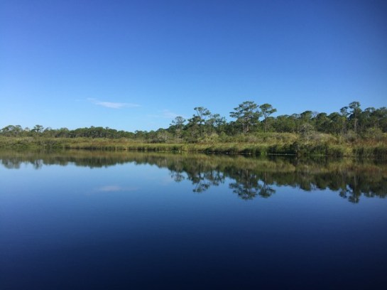 img_8578_zps9amipsah