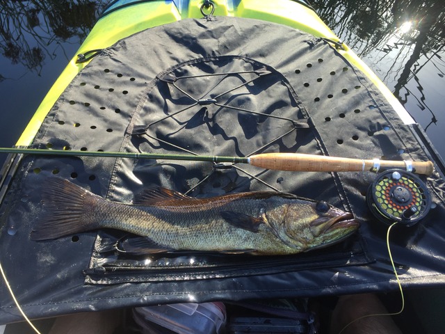 img_8579_zpsido6m4pe