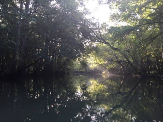 img_8626_zpsjhghx3sj