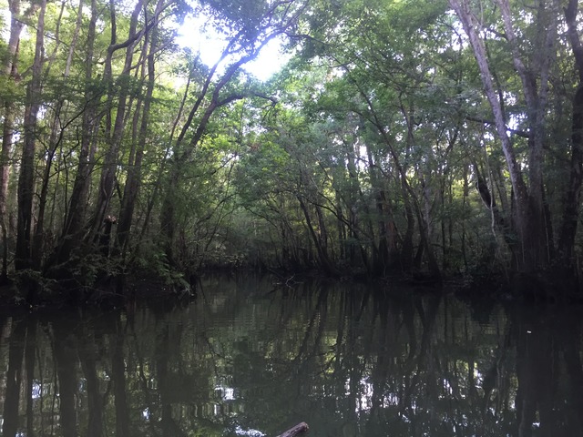 img_8631_zpsrc41nybu