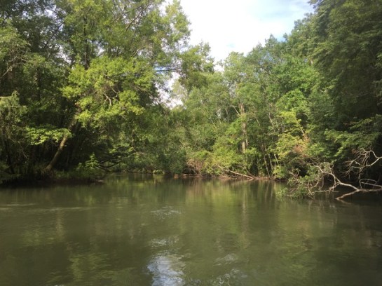 img_8645_zpsijdtuncq