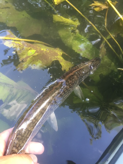 img_8649_zps1hxinm6v