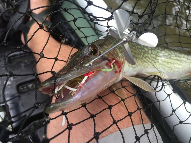 img_8658_zpsyrefuyba