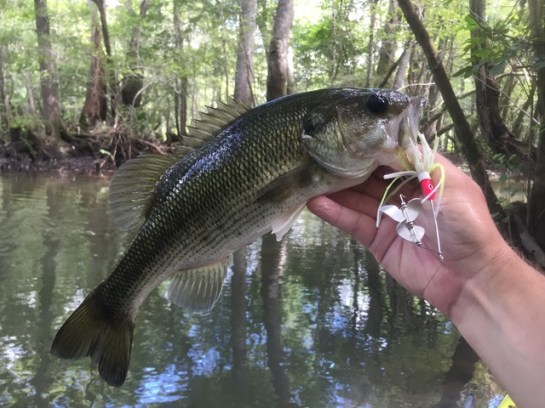 img_8660_zpslmp4lji7