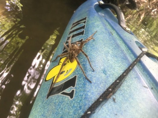 img_8696_zpsh3dnje2q