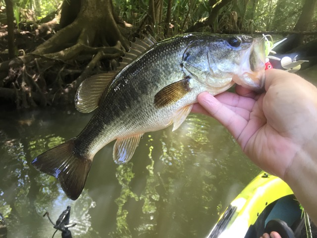 img_8704_zpshsjgqctz