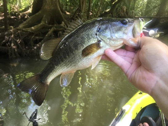 img_8704_zpshsjgqctz