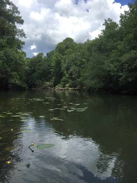 img_8710_zps2drqnbcw