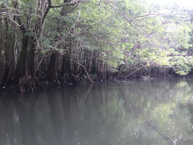 img_8711_zpsoylouibp