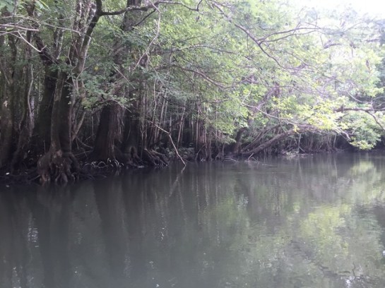 img_8711_zpsoylouibp