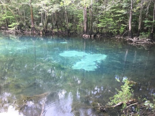 img_8712_zpszfyxzsjr