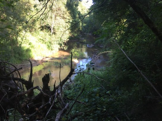 img_8874_zpsbmnihmyd