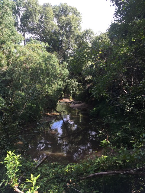 img_8879_zpsoxqpbo1h