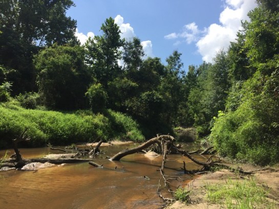 img_8887_zpssycad7y9