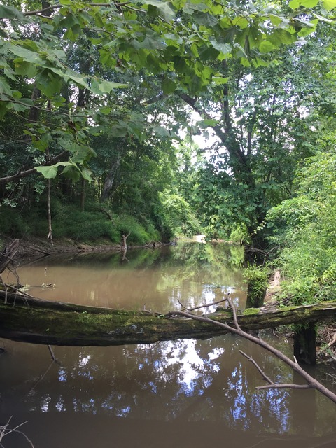 img_8897_zpsquwfyf8t