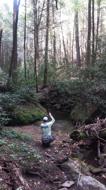 20160922_163652_zpsdgxkkzeg