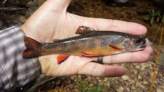 20160923_144518_zps9zm2rcsz