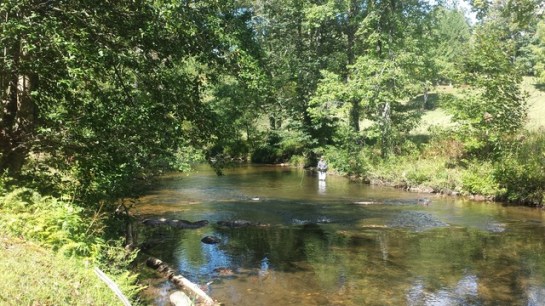 20160924_114416_zpsms0a0ey1