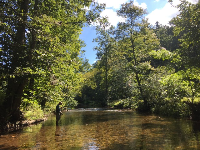 img_9288_zpsv3pcxyes