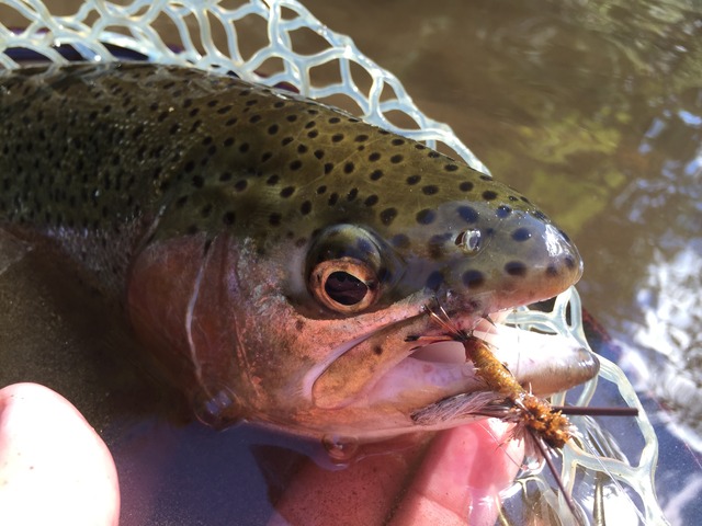 img_9291_zpsukdnyh8i